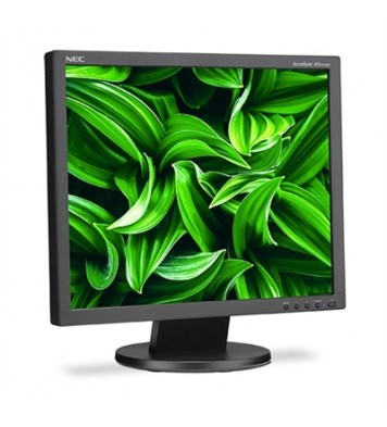 19" LED Backlit LCD Monitor